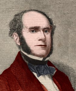 アメリカの詩人、フィッツ＝グリーン（Fitz Greene）ハレック（1790-1867）の肖像。1858年1月23日の「The illustrated London News」に掲載されたエングレーヴィング。 作： Unknown artist