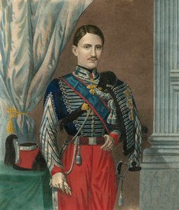 金の羊毛勲章の首飾りをつけた2つのシチリア王国の王フランソワ2世（Francesco II delle Due Sicilie）（1836-1894）の肖像 - 2つのシチリア王国の王フランソワ2世（1836-1894）の肖像 作： Unknown artist
