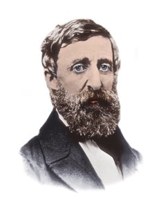 ヘンリー・デイヴィッド・ソロー（1817-1862）の肖像 - アメリカのエッセイスト、詩人、哲学者、奴隷制廃止論者、自然主義者、租税回避論者、開発評論家、測量家、歴史家
