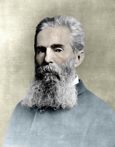 ハーマン・メルヴィル（1819-1891）アメリカの小説家の肖像。 作： Unknown artist