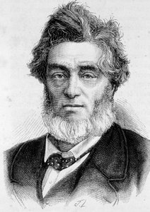 フランスの政治家、ジュール・ファーブル（1809 - 1880）の肖像。 作： Unknown artist