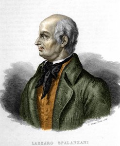 イタリアの生物学者ラザロ・スパランツァーニ（またはスパランツァーニ）の肖像（1729～1799年 作： Unknown artist