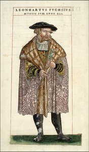Leonhart Fuchsの肖像：植物学者-ドイツ人医師（1501 - 1566）-Leonhart Fuchsの「De Historia Stirpium commentarii badges,...」の中で。 作： Unknown artist