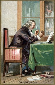 フランスの博物学者ルイ・ジャン・マリー・ドーバントン（Louis Jean Marie Daubenton, dit Daubenton）（1716 - 1800）の肖像。19世紀のクロモリトグラフ。 作： Unknown artist