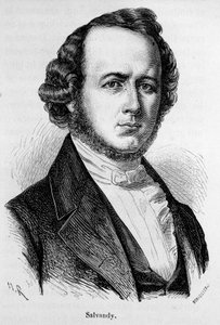 フランスの政治家、サルヴァンディ伯爵ナルシス・アキレスの肖像（1795～1856年 作： Unknown artist