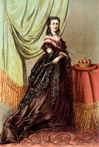 ベルギー王レオポルド2世の妻、オーストリア王妃マリー・ヘンリエットの肖像。 作： Unknown artist