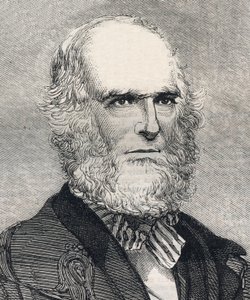 アメリカの詩人、ウィリアム・カレン・ブライアント（1794-1878）の肖像。1858年1月23日の「The illustrated London News」に掲載されたエングレーヴィング。 作： Unknown artist
