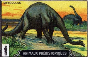 先史時代の動物：ディプロドクス恐竜（クロモ）
