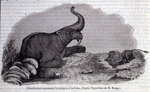 先史時代：ライオンに襲われているところを撃退しているナキウサギの一種、ディノテリウムが描かれています。19世紀のエングレービング 作： Unknown artist