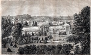ボルドーの公共庭園-Jardin public - Bordeaux - 1867年頃の刻印 作： Unknown artist