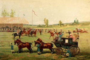 レースフィールド。カラー・クロモリトグラフ 19世紀後半パリ、装飾美術 作： Unknown artist