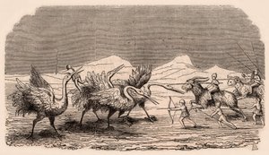 中世の部族と動物種の表現：ピグミーの戦いのクレーンのグループ 作： Unknown
