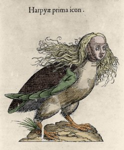 ハーピーの表現 ウリッセ・アルドロヴァンディ（1522-1605）の版画「Monstrorum Historiae」、ボローニャ 1642年