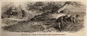 稲作：10月に収穫、長靴で茎が再び揃う。1863年から1864年にかけての日本への航海を説明するために、スイス盟約者団の公使アイム・アンベールが描いた版画。 作： Unknown artist