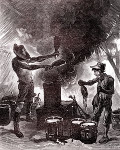 ブラジルの森林におけるゴムの調製または加硫 作： Unknown artist