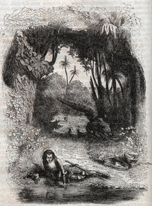 アルチーナ島のルッジェーロ - 1851年、ルドヴィーコ・アリオストの詩「Orlando furioso」（1516年）からの版画 - トレッサン伯爵がイタリア語から翻訳し、グスタフ・ハーバードが出版した版 1851年 作： Unknown artist