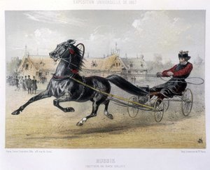 ロシア。オルロフ種のトロッター-「ケンタウルス」1867年掲載