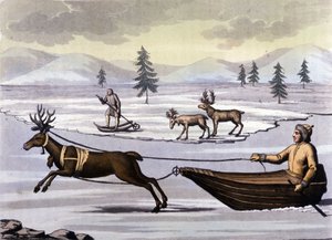 サーミ人：北欧諸国（ノルウェー、フィンランド、スウェーデン、ロシア）の土地に住む先住民族で、トナカイのトボガンやスキーで移動する。19世紀に描かれた版画 作： Unknown artist