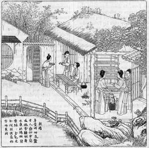 中国のシルクとカイコ。紡ぎたいと思う虫の分離。1888年8月11日の「La Nature: revue des sciences et de leurs applications aux arts et a l