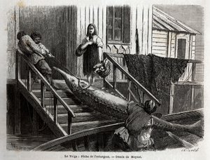 ヴォルガ川河口でのチョウザメ釣り。M.Moynetが1864年に行ったヴォルガ川の航海を描いたもので、Edouard Chartonの指導のもとに出版された "Le tour du monde, nouveau journal des voyages "に掲載されている。 作： Unknown artist