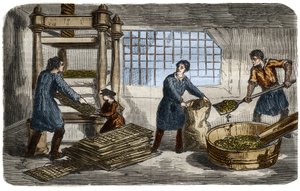 製糖：ビートの果肉からジュースを抽出すること。ビートの果肉は袋に詰められ、油圧プレスのトレイの下に重ねられます。1859年に描かれたもので、"The Museum of Sciences "所蔵。 作： Unknown artist