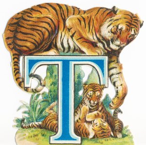 T：タイガー