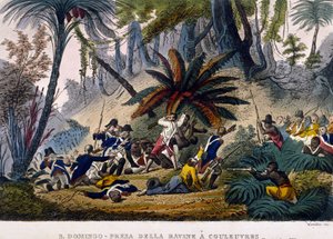 1802年2月23日、ルーヴルのラ・ラヴィーンで撮影。ルクレール遠征隊は、「トゥーサン・ルーヴェルチュール」（Toussaint Louverture）として知られるフランソワ・ドミニク・トゥーサン（Francois Dominique Toussaint）の部隊を包囲しています。 作： Unknown artist
