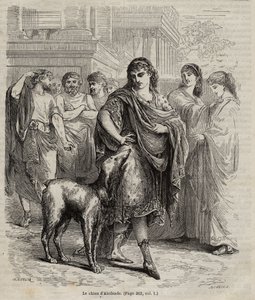 アルキビアデスの犬 - アルキビアデスの犬 政治家、雄弁家、将軍 アテネ 前450年～前404年 彫刻 1864年より 作： Unknown artist