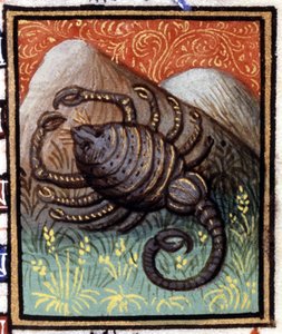 蠍座です。ホロスコープのミニチュア。15世紀の写本。ミラノのBibl.Trivulziana, Milan。 作： Unknown artist