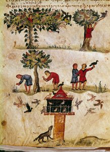 カラカラに捧げられたシリアのオッピアン(Oppian or Oppianus)の狩猟「The Cynegetics」(紀元3世紀)からミニチュアハヤブサの飼育と訓練。11世紀のヴェネツィア。ビブリオテカ・マルシアーナ 作： Unknown artist