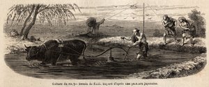 米の栽培：第一段階、土地に灌漑をした後、区画の土を鋤で返し、水牛と鋤手の足の下で挽き、中足までシルトを醸造し、ベチェで不逞の塊を砕く、その後、私が 作： Unknown artist