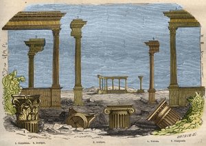 古典（古代）建築の5つの秩序。コリント式、ドリス式、イオニア式、トスカーナ式、複合式の5つの様式があり、それぞれを柱で表している。1857年に描かれた「科学博物館」の版画 作： Unknown artist