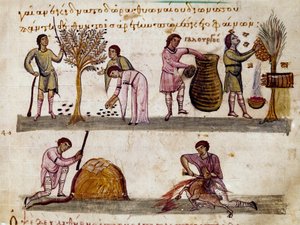 オリーブの収穫、蜂蜜の生産、子羊の屠殺 狩猟による乳搾りのミニチュア シリアのオッピアン(Oppian or Oppianus)作(紀元3世紀)のカラカラに捧げられた「シネゲティクス」。11世紀 ヴェネツィアマルシアーナ図書館