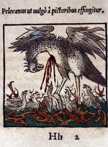ペリカンの伝説：ペリカンは自分の血と腸を与えて子供を養う。Konrad Gesner著「Historiae animalium」（Tiguri）より