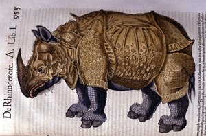 サイはコンラッド・ゲスナーの「Historia Animalium」（Tiguri 1560年）による。 作： Unknown artist
