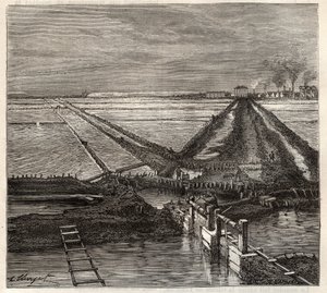 カマルグ（ブーシュ・デュ・ローヌ）のジローの塩湿地、用水路からの眺め - Louis Figuierの「Les Merveilles de l