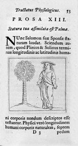 女性の大きさ。Tractatus physiologicus de pulchritudine」から引用されたページでは、エルネスト・ヴェニオ（Ernestus Vaenius）が匿名の相手に対して創造物の美しさを擁護している。1612 作： Unknown artist