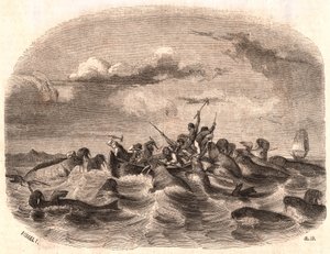 1818年にスピッツベルゲン島沖のセイウチの群れを追いかけるイギリスの船員のグループの眺め