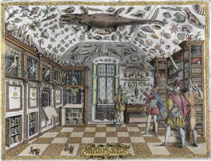 薬剤師フェランテ・インペラート(1550-1631)の珍品博物館(百科事典博物館)の眺め。1678年のエングレーヴィング。ナポリの薬師フェランテ・インペラートの博物館。 作： Unknown artist