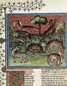 狼とその自然をモットーにしています。Gaston Phoebus (1331-1391) dit Gaston III Comte De Foixのミニチュア。