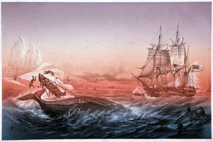 捕鯨船がクジラの救助に失敗して転覆した船 作： Unknown artist