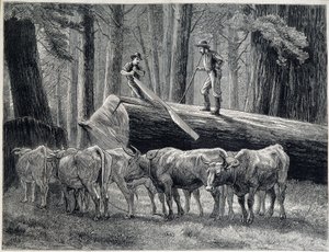 カリフォルニア州のレッドウッドの森にいる木工職人たち - 彫刻 作： Unknown artist