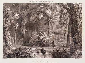南米のフランス植民地ガイアナを描いたエングレーヴィング 1850年 作： Unknown artist
