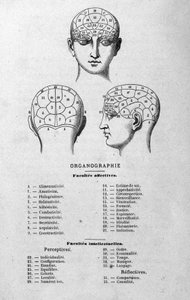 シャルル・ルーバンの1873年の著書『Organographie La Tête humanine』の挿絵。有名な人物に適用された骨相学と精神医学の図解研究。 作： Unknown artist