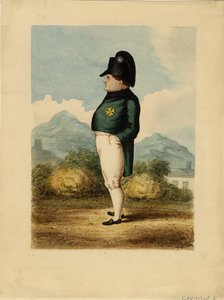 セントヘレナ島のナポレオン・ボナパルト、1817年