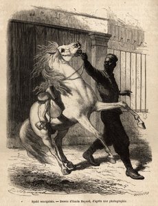 サン・ルイ（サン・ルイ）のセネガル人スパヒ（騎兵）。1868年にフルリオット・ド・ラングル副提督が行ったアフリカ沿岸のクルーズを説明するためのエングレーヴィングで、1872年にエドゥアール・シャルトンが編集した「Le tour du monde」に掲載されている。 作： Unknown artist