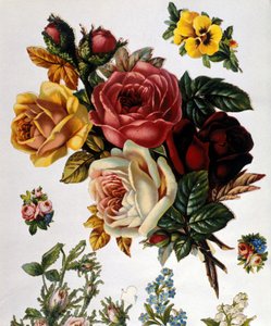 薔薇の花束19世紀のクロモリトグラフ。 作： Unknown artist