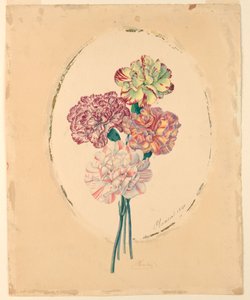 カーネーションを4つ束ねた 作： Unknown artist