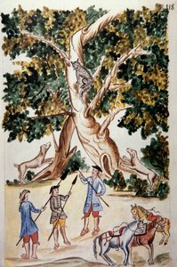 トルヒーリョ司教バルタサル・マルティネス・コンパニオン・イ・ブジャンダ（1782-1785）の著書「トルヒーリョ・デル・ペルー」（Códice Martínez Compañón）から、木に止まる野良猫とそれを待つ狩人 作： Unknown artist