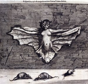 コウモリとネズミ。アタナシウス・キルヒャーによる「DeChinaMonumenta」 作： Unknown artist